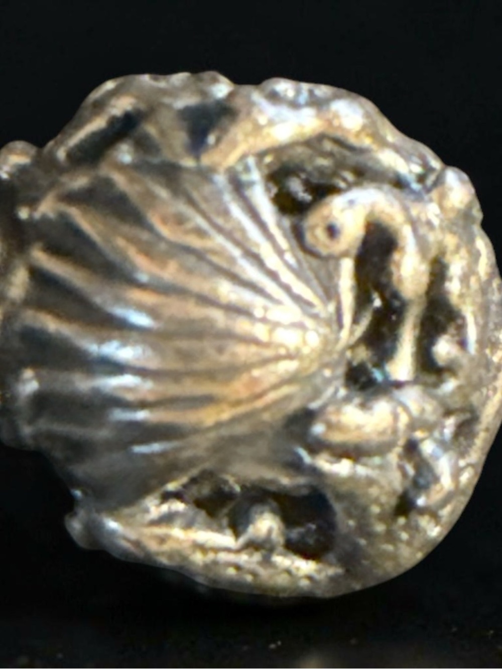 Troll-beads 925 Silver LAA Shell Bead